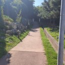 소망의집 | 기적의 길 끝자락,소망의 길.장승포.