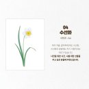 색연필 식물 세밀화 이미지