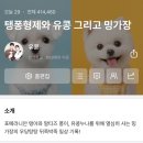 신유경 | 주간 일기 4번 쓰면 한 달이 끝나는 인생,, 어쩌다보니 2탄이 되어버려