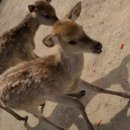 배식농장 이미지