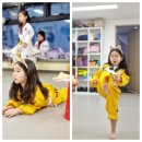 비송태권도 이미지