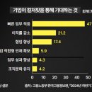 잡핏