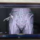 여의도튼튼척의원 이미지