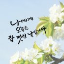 오늘 또 캘리 이미지