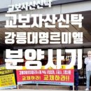 교보자산신탁(주) - 4531 | 교보자산신탁(주)