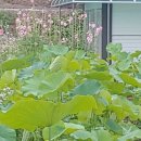 통안경로당 이미지