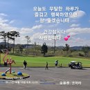 플라밍고 cc 이미지