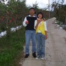 충일농장 Daum카페