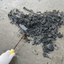 다대어촌체험마을 이미지