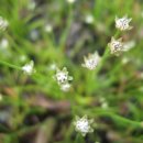 곡정초등학교 이미지