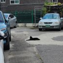 수암2길 이미지