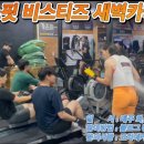 비스티즈 이미지