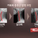 늘바른콘텐츠 이미지