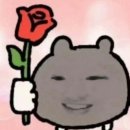 종로-신교-종로-신-175 | 가을의 끝자락에 올리는 가을블로그…🍂🍁☔️