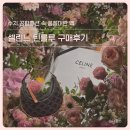 수지패션 - 용인시 처인구 금령로99번길 13 | 셀린느 틴룰루 내돈내산 후기, 수지 공항패션 보고 반해버렸어요