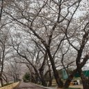 한냉 이미지