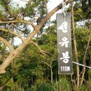 군도1호선 이미지