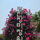 중곡근린공원 | 서울 장미정원 어디로 갈까? 광진장미정원 추천 후기