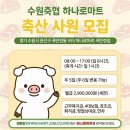 수원축산농협 하나로마트 곡반정점 | 수원 권선구 축산 직원 채용｜수원축협 하나로마트 곡반정점 계약직 모집 (월 290만원)