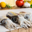 조양물산 이미지