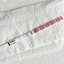 역전여성 | 임신 5주차: 임테기 더블링 진하기 변화, 역전 시기, 시온여성병원 임신확인서 발급