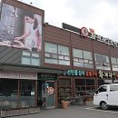 풍천황제장어