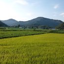 늑천정가든 이미지