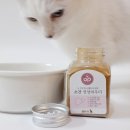 퓨어도그(Pure dog) 이미지