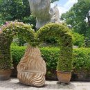 순박1농장 이미지