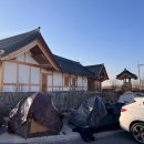 영덕한의원 | 경주 대추밭백 한의원 4대원장님 토요일실패/일요일성공후기(강아지동반)