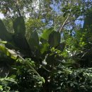 수열농장 이미지