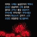 [9월 정모후기] 꽃무릇공원에서 모두가 아름다웠던 날~ 이미지