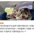 가치타개(타개) 이미지