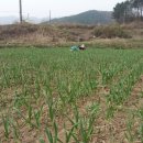 영선농장 이미지