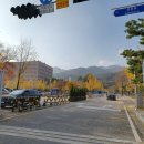 청사1길 이미지