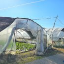 대일농장 이미지