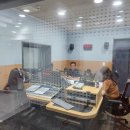 컨설팅명가