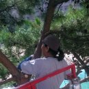 목향초등학교 이미지