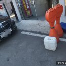 사구려플라워 이미지