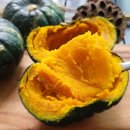 신기농장 이미지