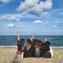 정선 아리랑 농원 이미지