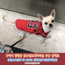 금오셀프세차장 이미지