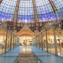 파리글라스 이미지