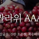 카페알트로 이미지