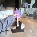 폴바셋평택소사DT점