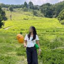 버킷바디 | 베네타)카세트 미니 크로스바디 버킷 백 패러킷 /내돈내산 언방식,실착후기사진,끈조절,끈길게메는방법...