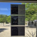 지리산 당근 오토캠핑장 산청캠핑장에서 초여름 숲속 솔캠