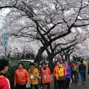 청솔내마을 이미지