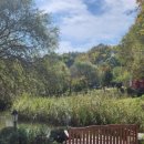 필례 게르마늄 온천 이미지