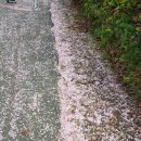 한성목장 이미지